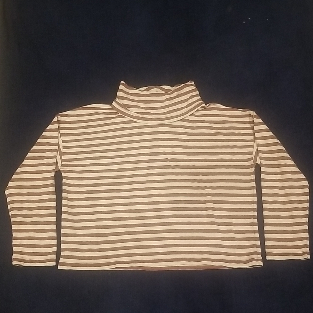 J. Crew Factory Cream and Brown Striped Turtleneck Top